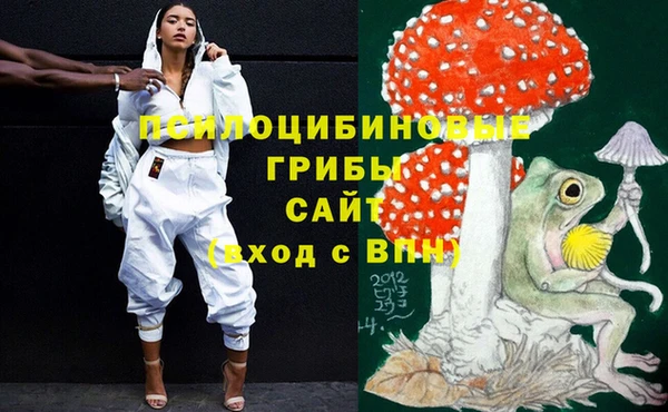 молекула духа Богданович
