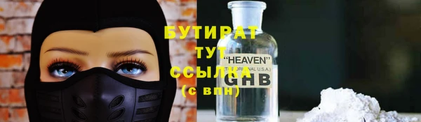 молекула духа Богданович