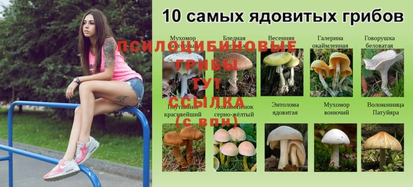 дмт Белоозёрский