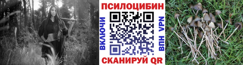 Псилоцибиновые грибы ЛСД Куса