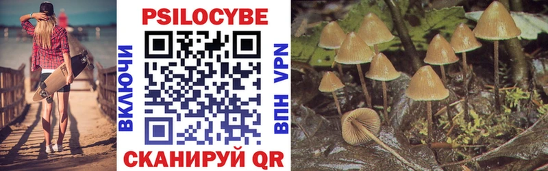 Галлюциногенные грибы прущие грибы  Купить закладки  Куса 